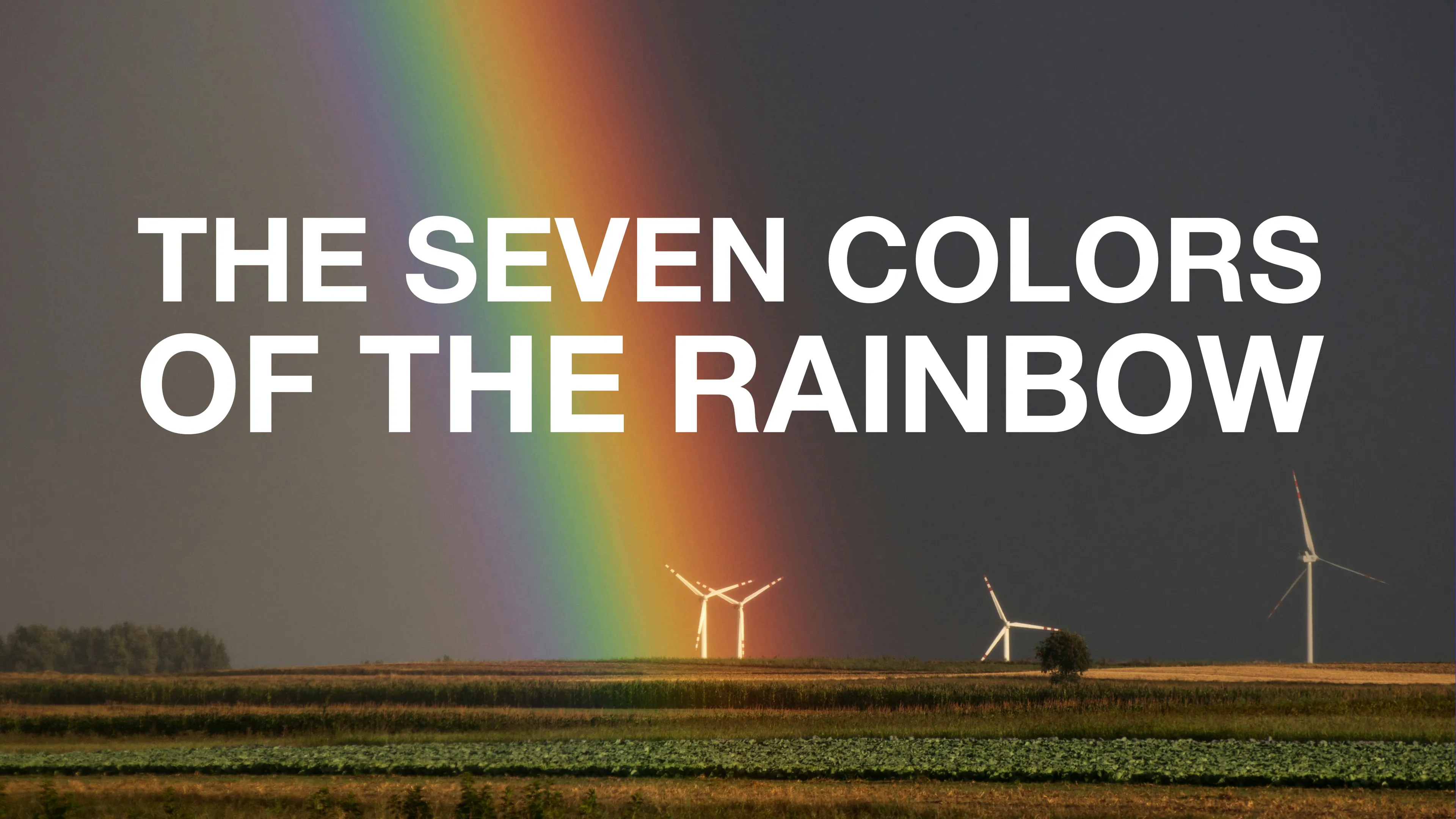 The Seven Colors of the Rainbow poster